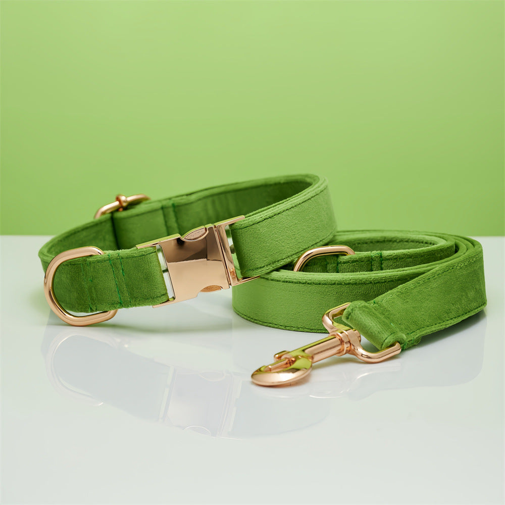Ensemble Collier & Laisse en Velours avec Nœud Papillon pour Chien