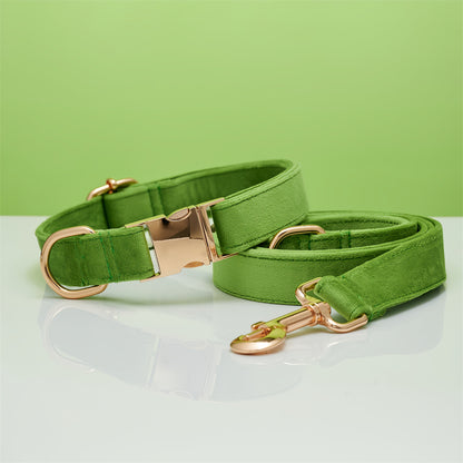 Ensemble Collier & Laisse en Velours avec Nœud Papillon pour Chien