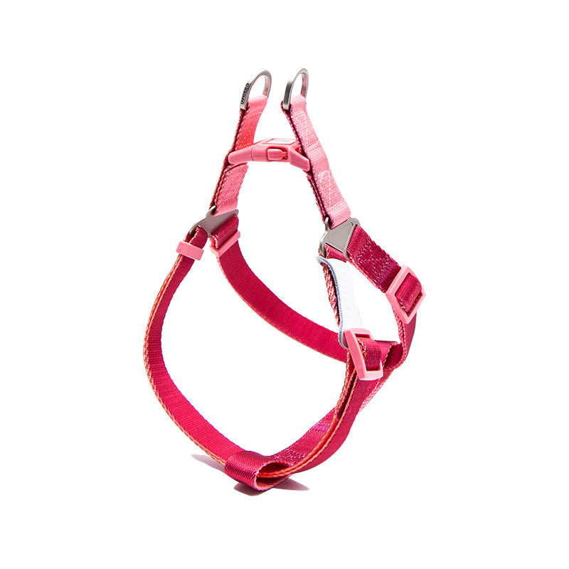 Set Harnais Poitrine & Laisse Bicolore pour Chien — Nylon | S, M & L