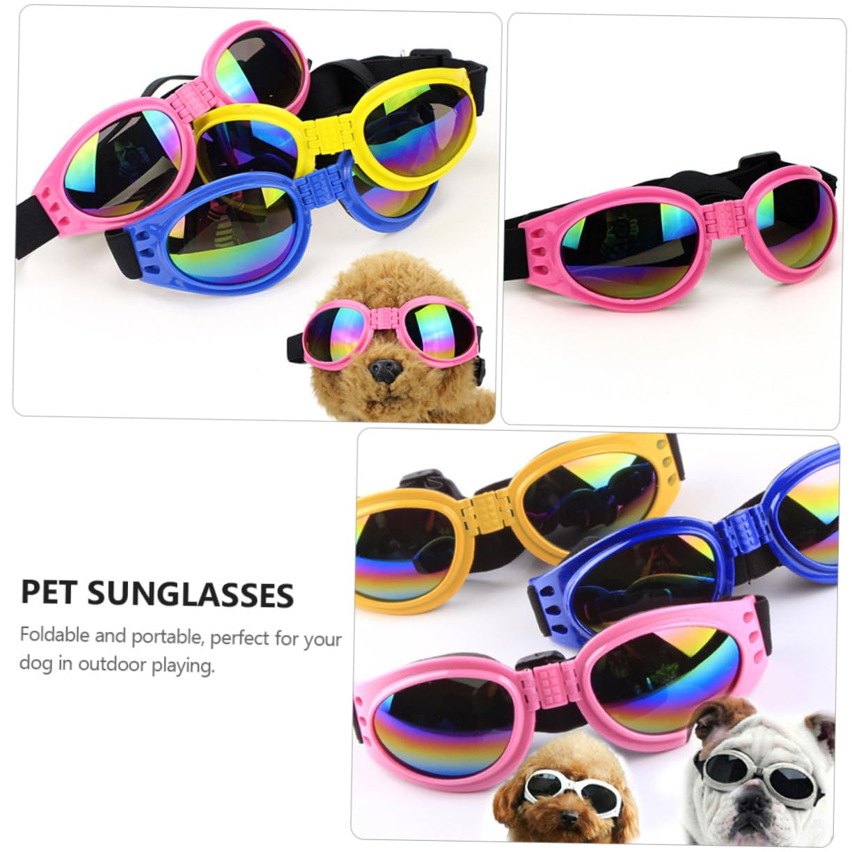 Lunettes anti-vent pour chiens – Idéales pour photos & sorties