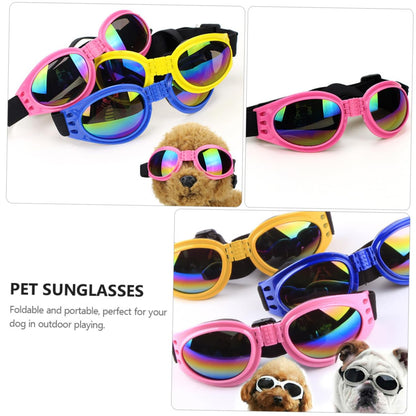 Lunettes anti-vent pour chiens – Idéales pour photos & sorties