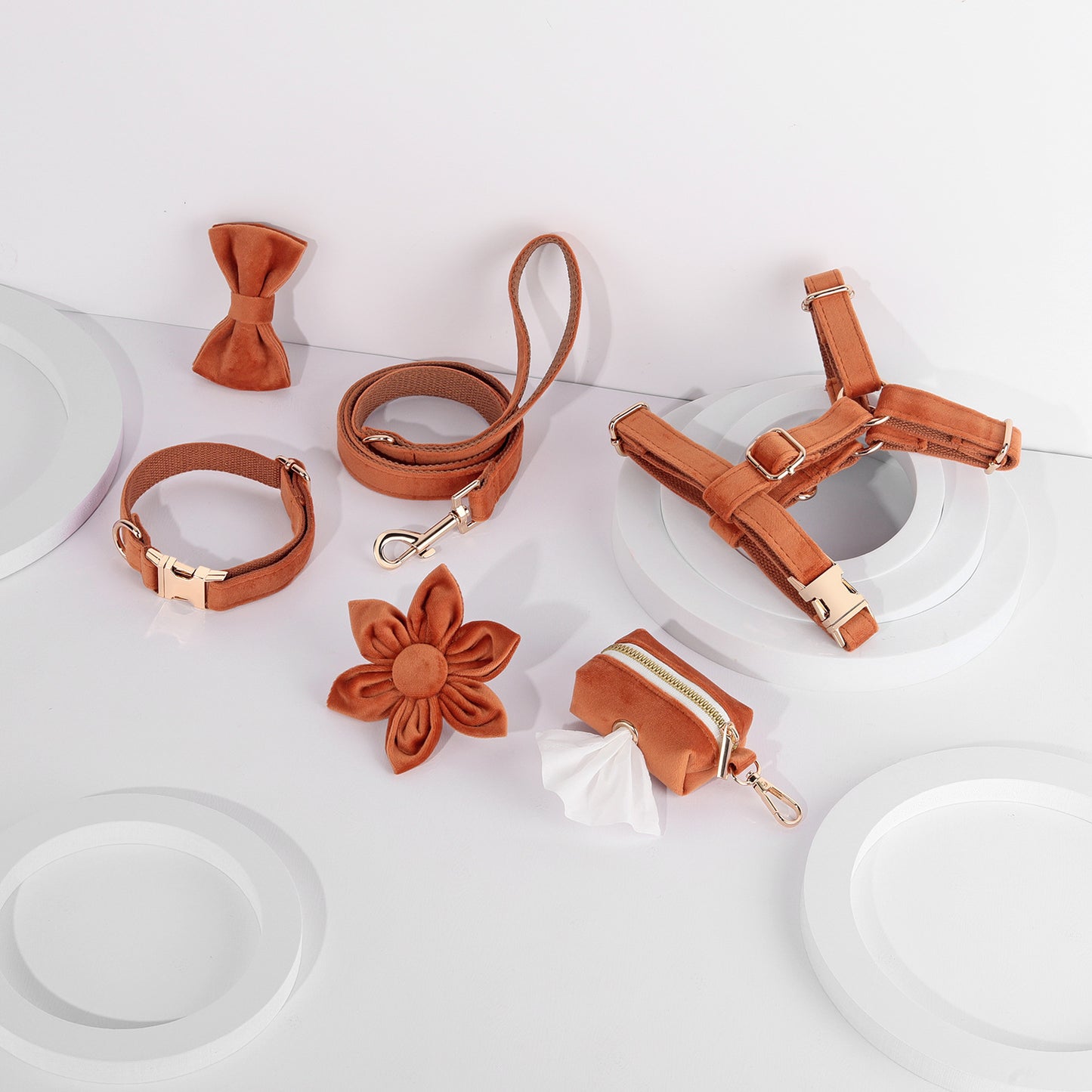Set 6 Pièces Velours pour Chien — Collier, Laisse, Harnais, Nœud Papillon & Fleur