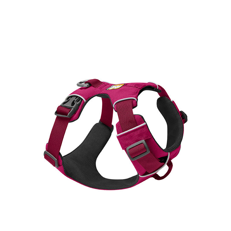 Laisse Harnais Nylon Poitrine & Dos pour Chien — Multicolore