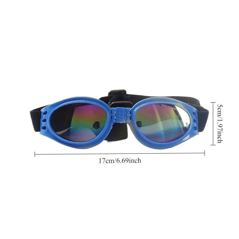 Lunettes anti-vent pour chiens – Idéales pour photos & sorties