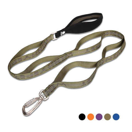 Laisse Nylon Bicolore pour Chien — Tailles M & L
