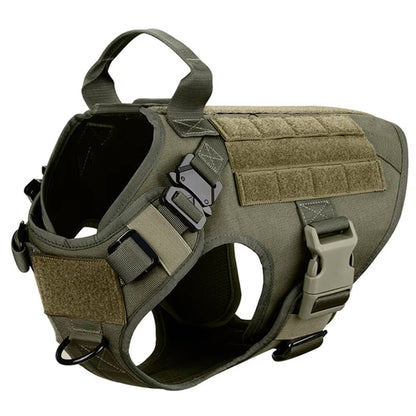 Set Harnais Tactique Premium + Laisse pour Chien — Nylon 1000D
