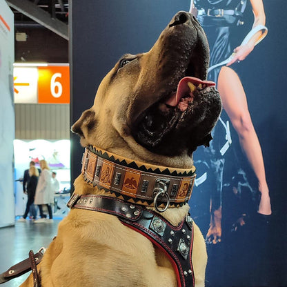 Collier "SPQR" — Cuir Inspiré de Rome pour Chien