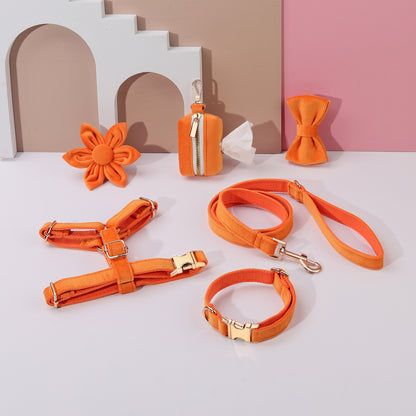 Set 6 Pièces Velours pour Chien — Collier, Laisse, Harnais, Nœud Papillon & Fleur