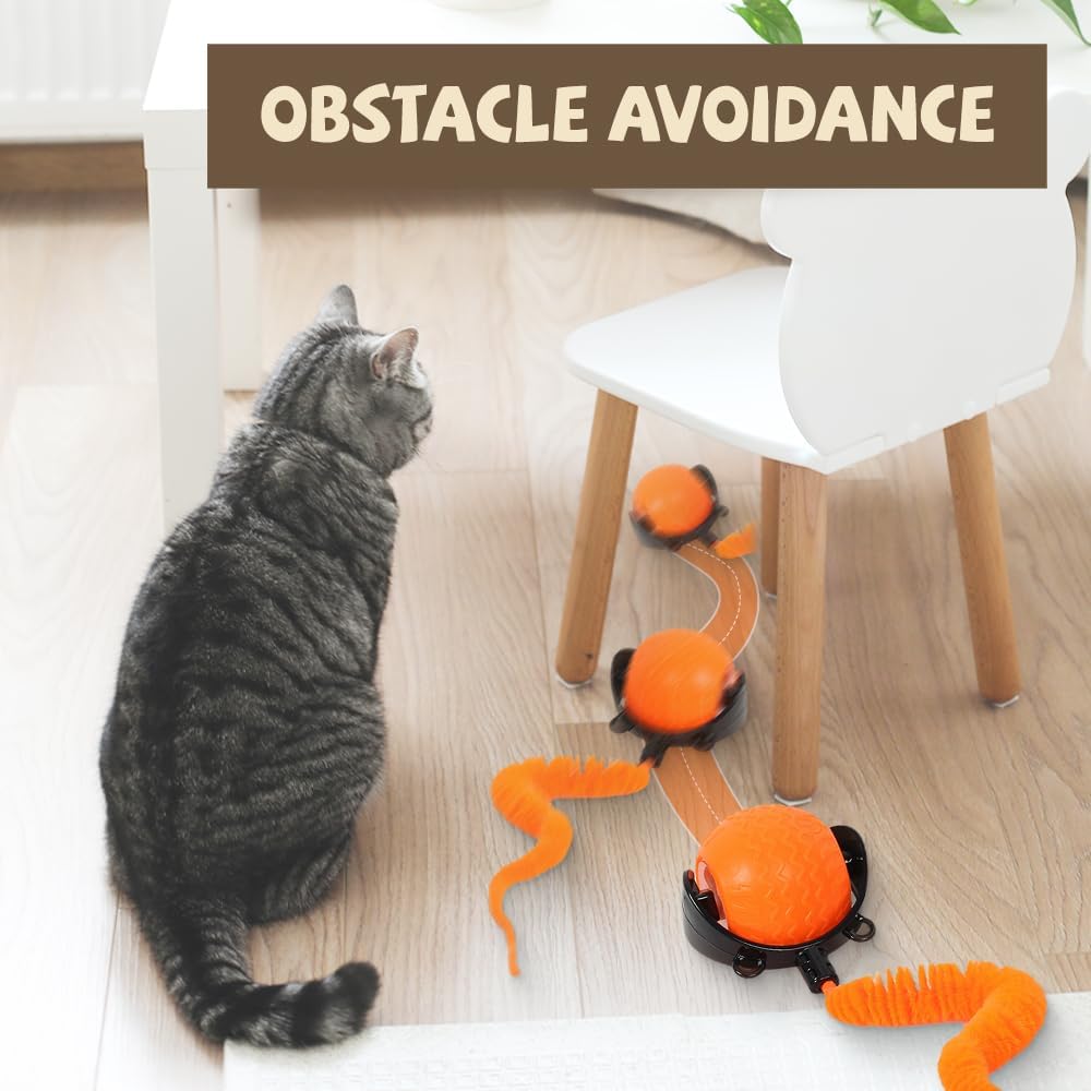 Balle Interactive Auto-Roulante pour Chat — Souris & Cordon Inclus