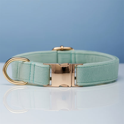 Ensemble Collier & Laisse en Velours avec Nœud Papillon pour Chien