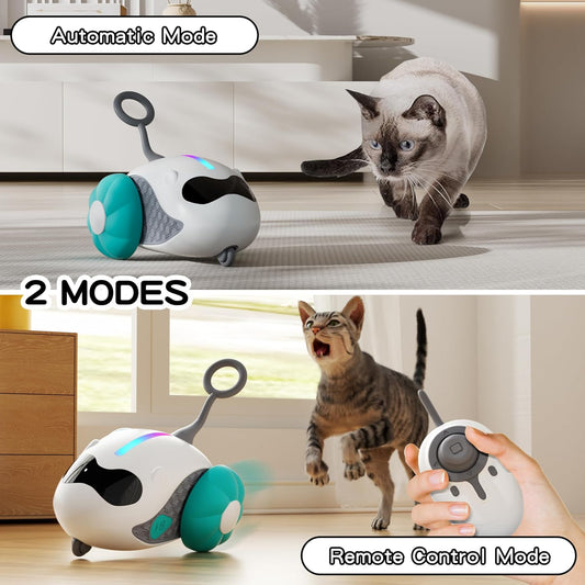 Jouet Voiture Télécommandée pour Chat – Rechargeable, Mouvement Automatique