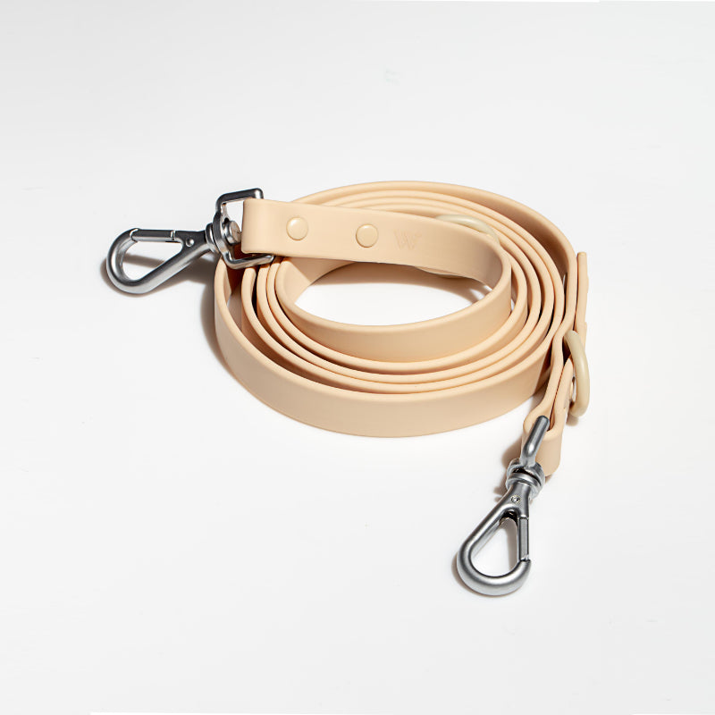 Laisse Imperméable Macaron pour Chien — Nylon Enduit Élastique