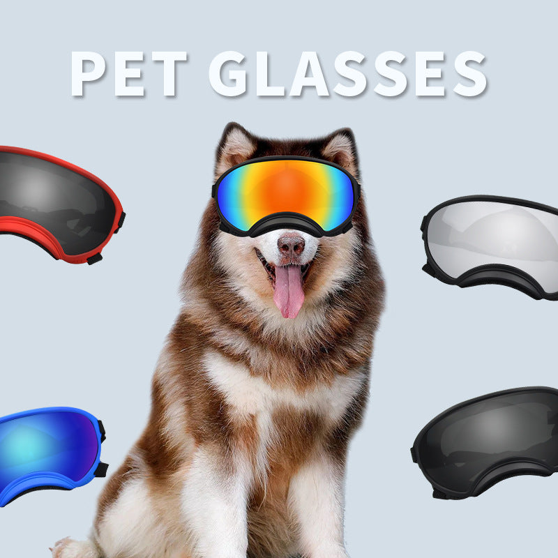 Goggles de ski pour chiens – Anti-buée, anti-vent & polarisés