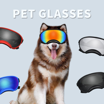 Goggles de ski pour chiens – Anti-buée, anti-vent & polarisés