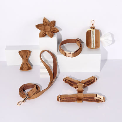 Set 6 Pièces Velours pour Chien — Collier, Laisse, Harnais, Nœud Papillon & Fleur