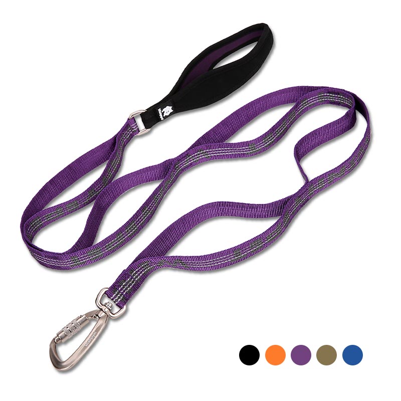 Laisse Nylon Bicolore pour Chien — Tailles M & L