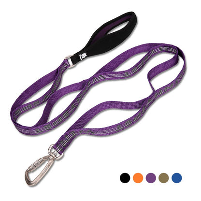 Laisse Nylon Bicolore pour Chien — Tailles M & L
