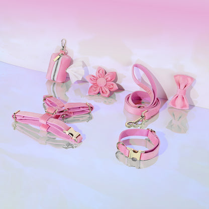 Set 6 Pièces Velours pour Chien — Collier, Laisse, Harnais, Nœud Papillon & Fleur