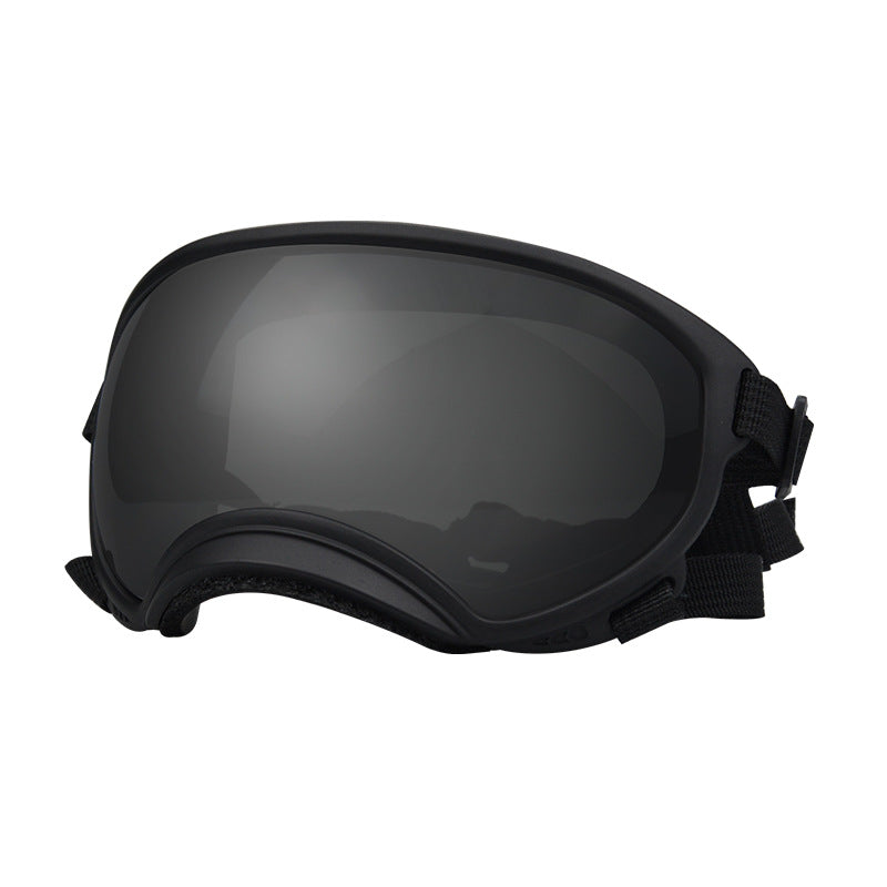 Goggles de ski pour chiens – Anti-buée, anti-vent & polarisés