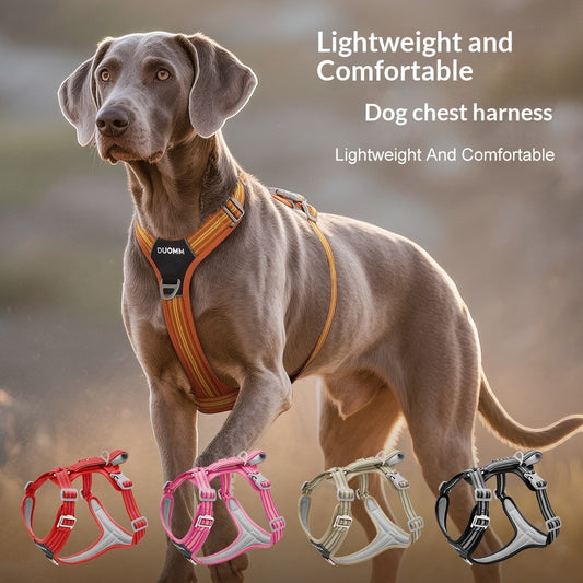 Harnais Réfléchissant Résistant pour Chien — Collier & Laisse Inclus