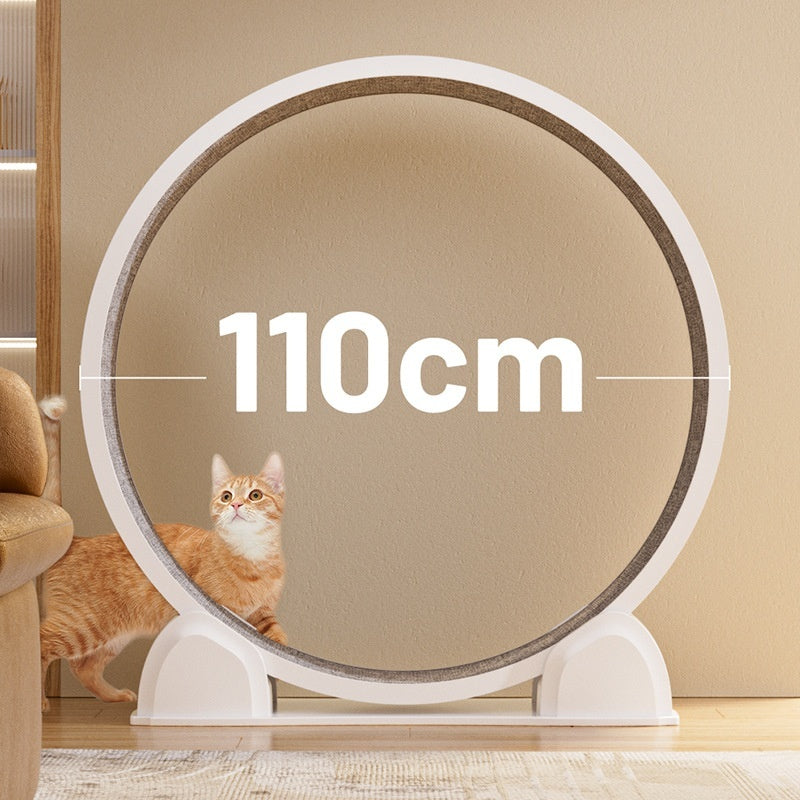 Tapis Roulant Électrique pour Chat – Affichage Digital, ABS