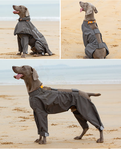 Imperméable 4 Pattes pour Chien Moyen et Grand – Poncho Imperméable
