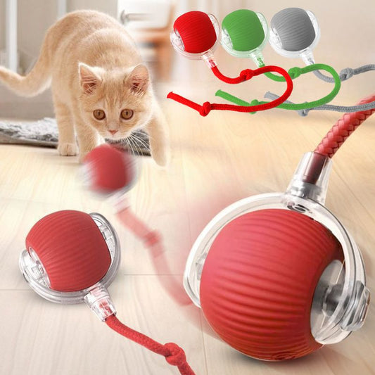 Balle Interactive Intelligente pour Chat & Chien — 3 Modes, Capteur & Recharge Rapide