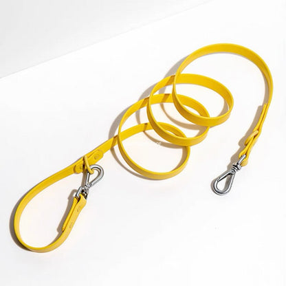 Laisse Imperméable Macaron pour Chien — Nylon Enduit Élastique