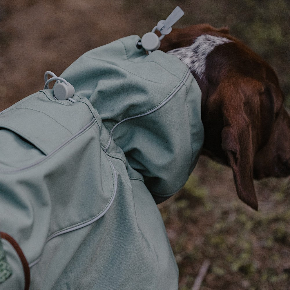 Veste Softshell Outdoor pour Chien – Imperméable, Coupe-Vent & Chaude