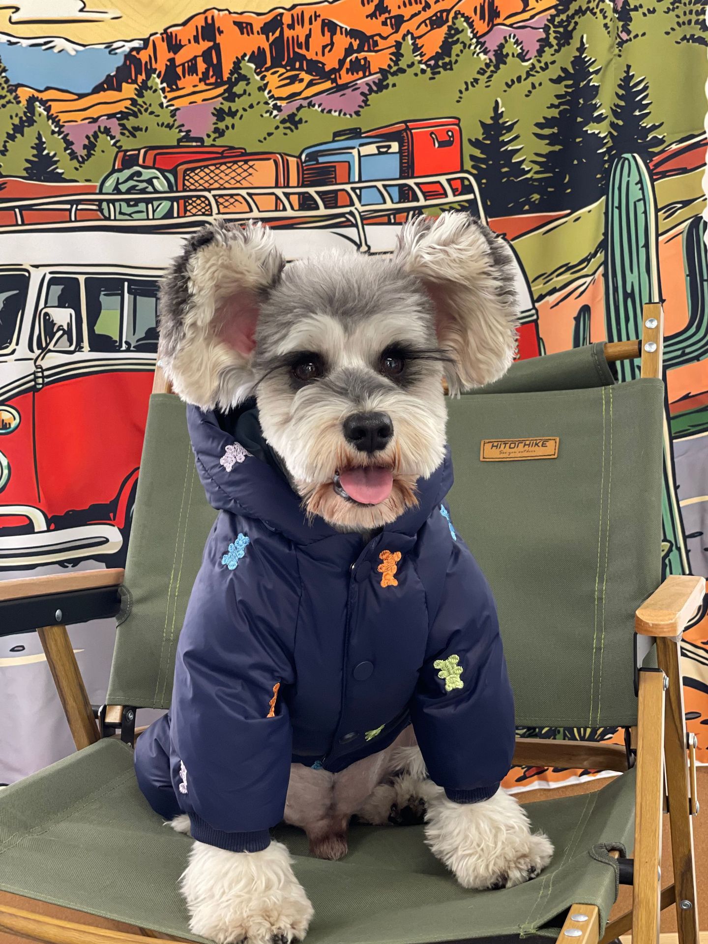 Doudoune à Capuche pour Chien – Chaude, 4 Pattes, Polyester Rembourré