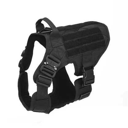 Set Harnais Tactique Premium + Laisse pour Chien — Nylon 1000D