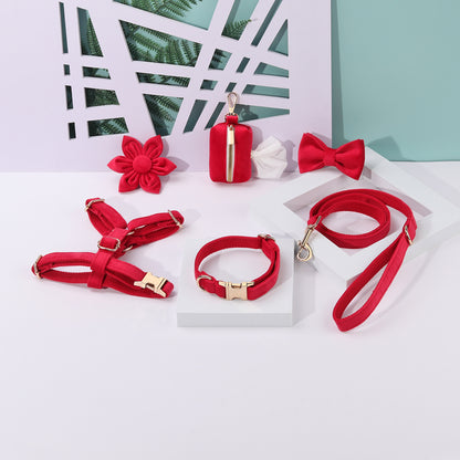 Set 6 Pièces Velours pour Chien — Collier, Laisse, Harnais, Nœud Papillon & Fleur