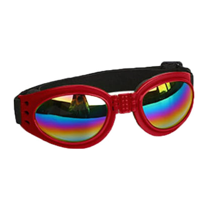 Lunettes anti-vent pour chiens – Idéales pour photos & sorties