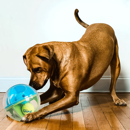 Coffret Jouets Anti-Stress pour Chien – Balle Labyrinthe, Distributeur & Sonore