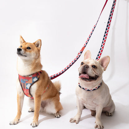 Laisse Multifonction Mains Libres Arc-en-Ciel pour Chien — Nylon Ajustable
