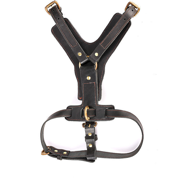 Harnais en Cuir Véritable avec Laisse pour Chien — Protection 360°