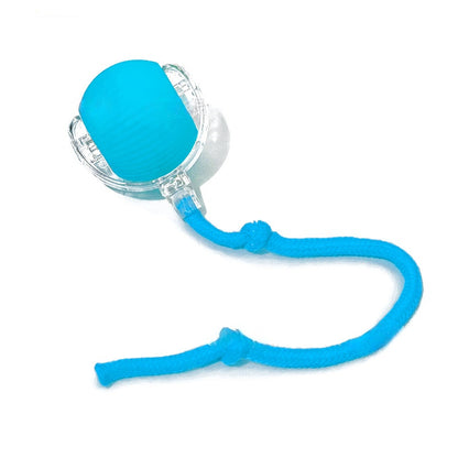 Balle Interactive Intelligente pour Chat & Chien — 3 Modes, Capteur & Recharge Rapide