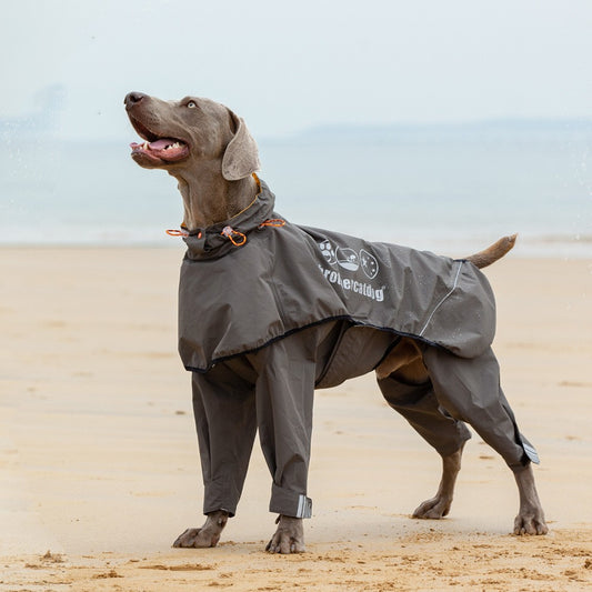 Imperméable 4 Pattes pour Chien Moyen et Grand – Poncho Imperméable