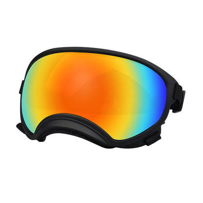 Goggles de ski pour chiens – Anti-buée, anti-vent & polarisés
