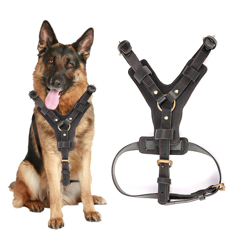 Harnais en Cuir Véritable avec Laisse pour Chien — Protection 360°