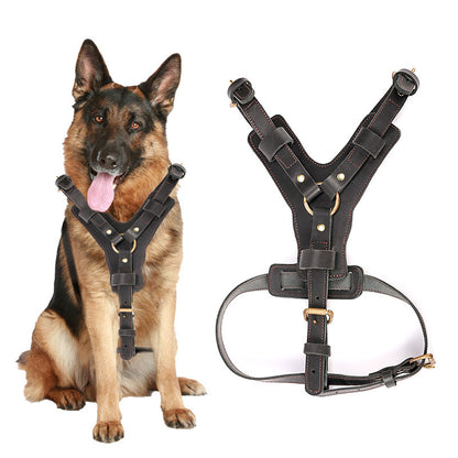 Harnais en Cuir Véritable avec Laisse pour Chien — Protection 360°