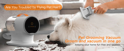 Aspirateur Silencieux pour Animaux — Poils & Toilettage 600W