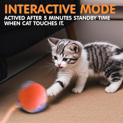 Balle Interactive Intelligente pour Chat & Chien — 3 Modes, Capteur & Recharge Rapide