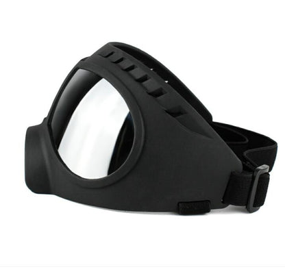Lunettes de soleil pour chiens – Protection UV (taille L)