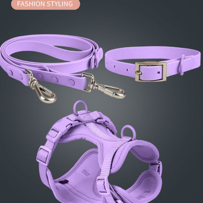 Set 4 Pièces pour Chien — Collier, Laisse, Harnais & Gamelle | Imperméable