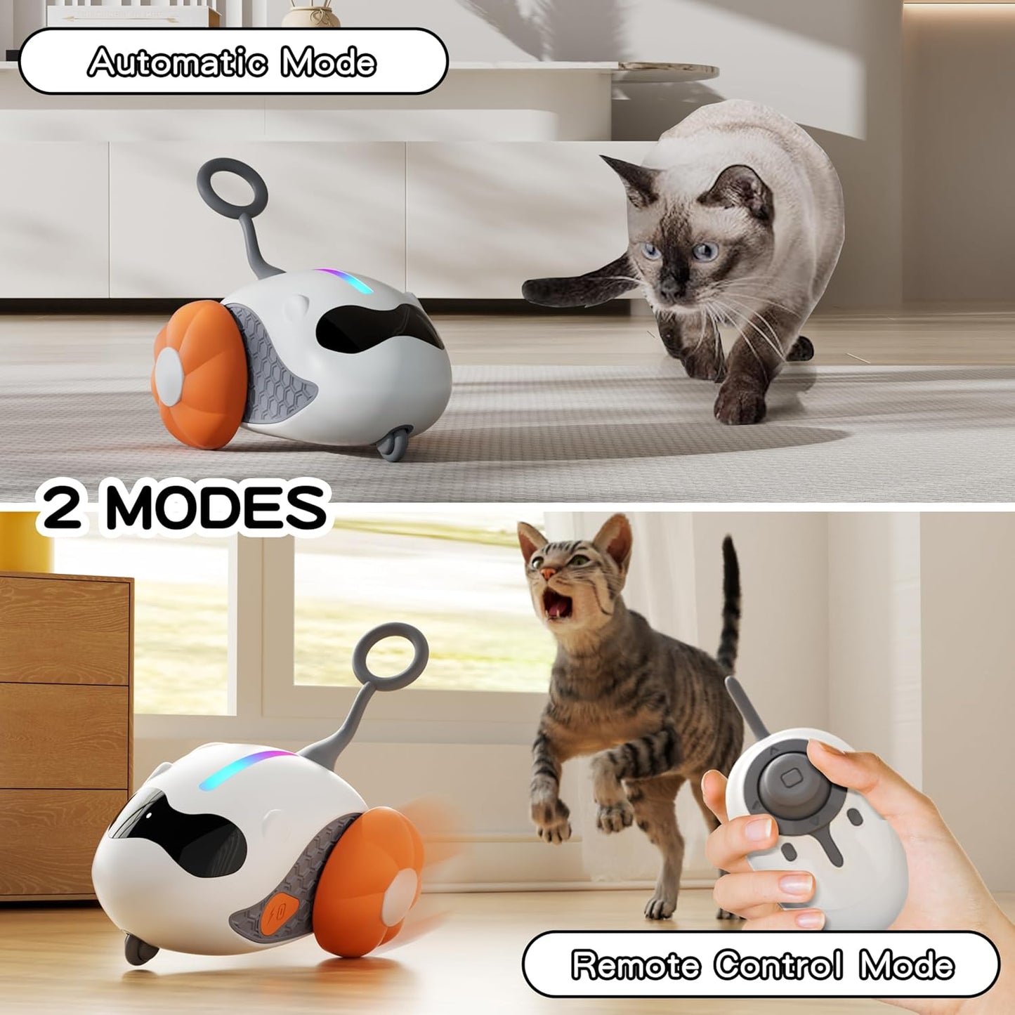 Jouet Voiture Télécommandée pour Chat – Rechargeable, Mouvement Automatique