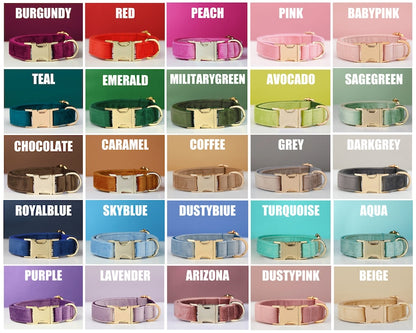 Ensemble Collier & Laisse en Velours avec Nœud Papillon pour Chien
