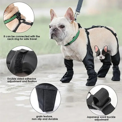 Chaussures Imperméables pour Chien – Semelle Antidérapante, Lot de 4