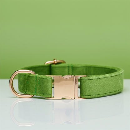 Ensemble Collier & Laisse en Velours avec Nœud Papillon pour Chien