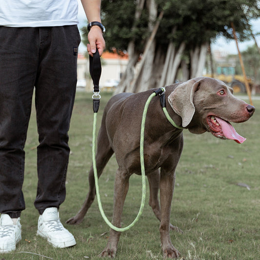 Laisse Nylon Uni Anti-Explosion pour Chien — 9 Couleurs | M & L